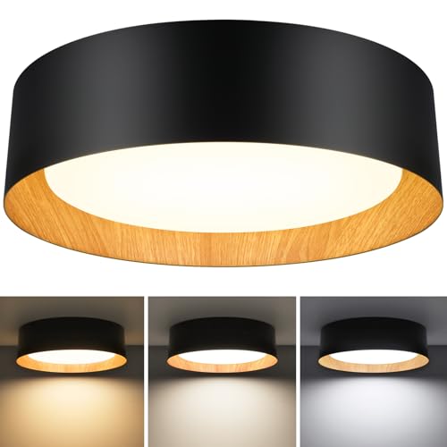 Flush Mount Ceiling Light