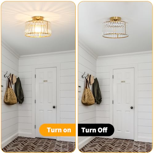 Crystal Ceiling Light Fixture