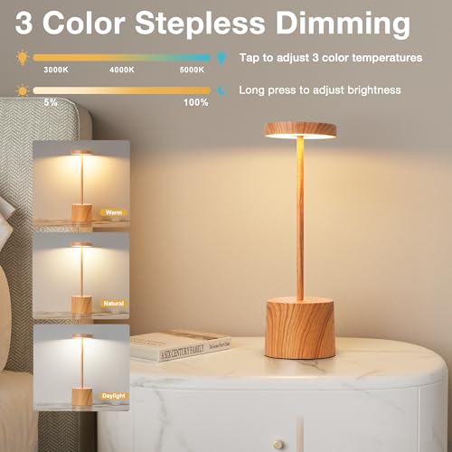 Wooden Rechargeable Cordless Lamp (2 Count)