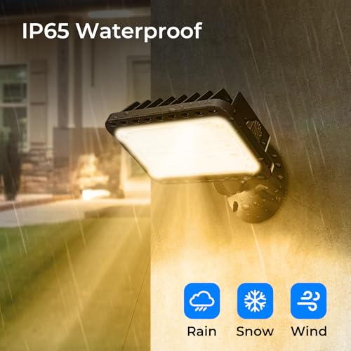 20W 2800LM LED Flood Lights Outdoor (2 Count)