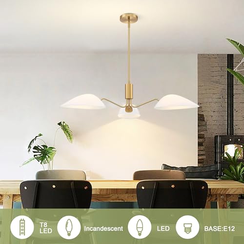 Modern Glass Chandeliers