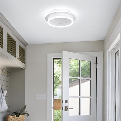 Round Modern Led Ceiling Light Fixture
