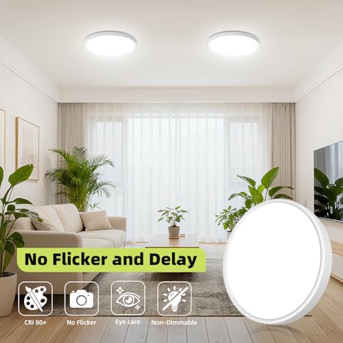 Flush Mount Ceiling Light 8Pack (8 Count)