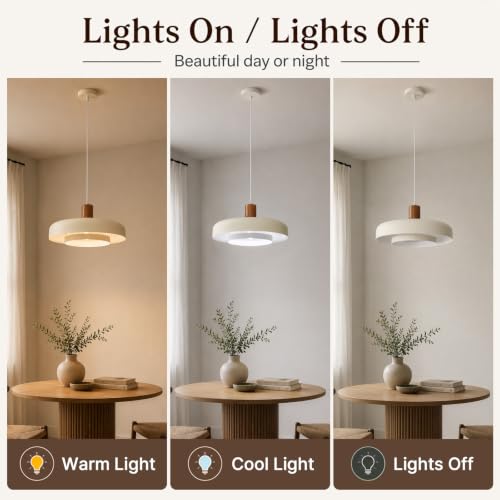 Mid Century Modern Pendant Light