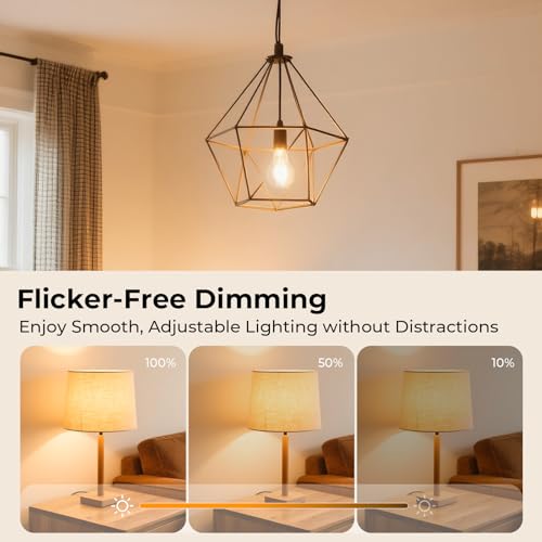 A19 E26 Light Bulb (4 Count)