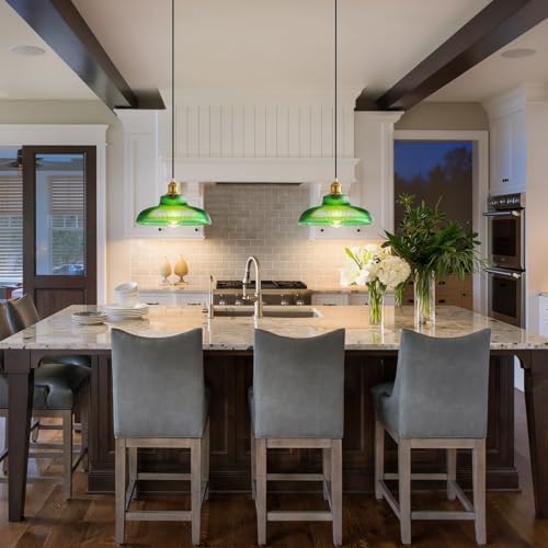 Plug in Pendant Light