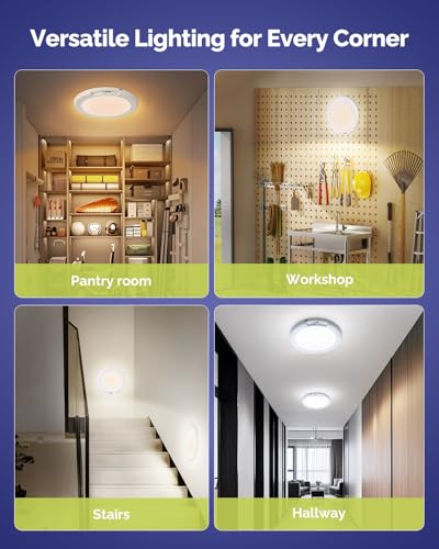 LED Shower Light Battery Operated Ceiling Light with Remote 4 Pack (4 Count)