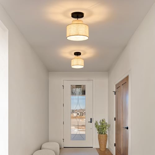 2 Pack Modern Pendant Lights