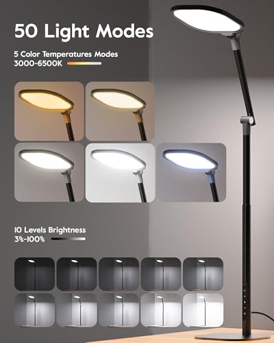 Video Conference Lighting