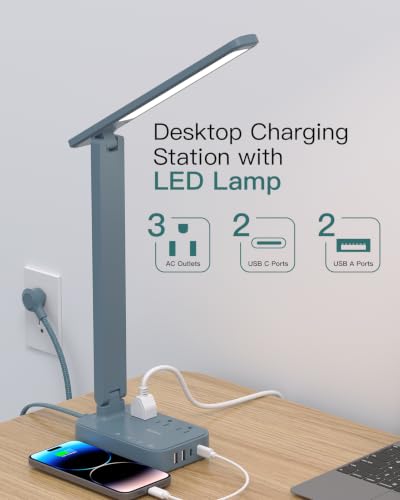 LED Desk Lamp