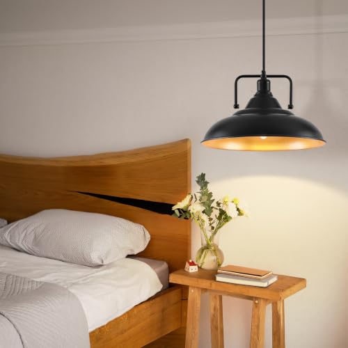 Black Pendant Light