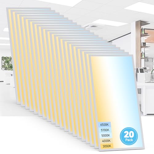 20 Pack 2x4 LED Flat Panel Light (20 Count)