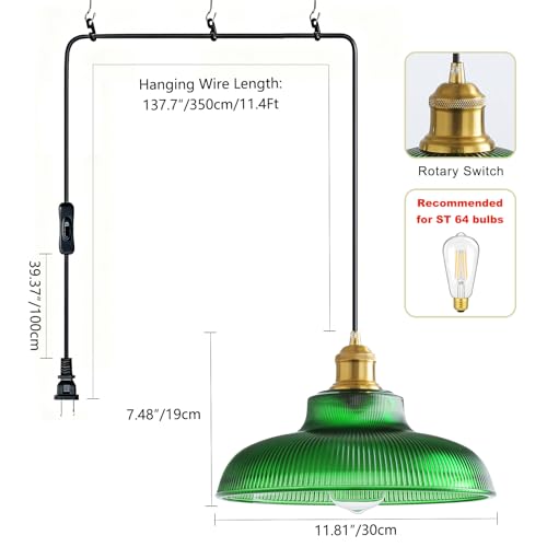 Plug in Pendant Light