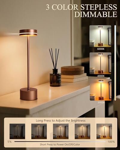 2 Pack LED Cordless Table Lamp Rechargeable (2 Count)
