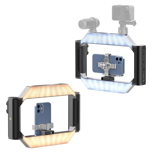 Smartphone Video Rig with Light