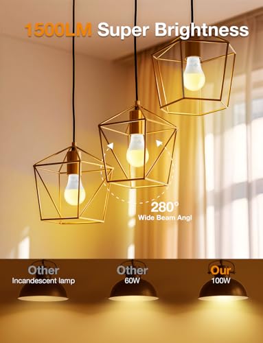 LED Light Bulbs (24 Count)