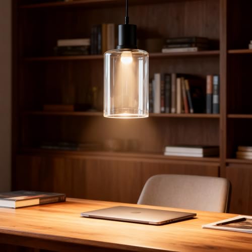 6Pcs Clear Glass Lamp Shade (6 Count)