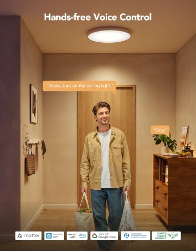 Smart Ceiling Light