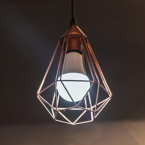 A19 LED Light Bulb (6 Count)