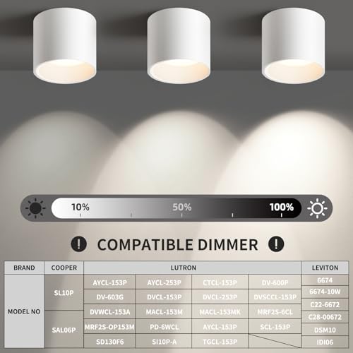 White Hallway Flush Mount Ceiling Light Fixtures for Kitchen Entryway