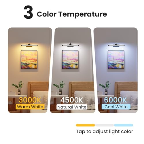 16" Picture Light with 6000mAh Battery