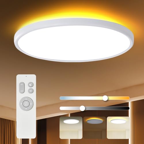 18 Inch Dimmable Flush Mount Ceiling Light with Remote