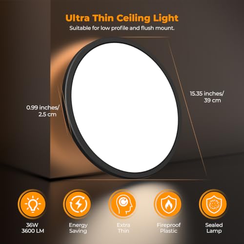 LED Flush Mount Ceiling Light Fixture with Remote Control