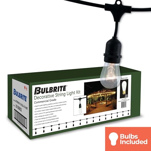 STRING15/E26-S14KT Outdoor, Garden, Patio, Wedding, Party, Holiday, Lawn, and Landscape String Light w/Incandescent Bulbs, 48-Feet, 15 Lights