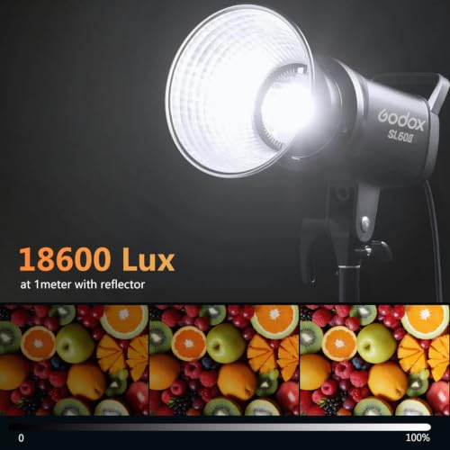 SL60IID LED Video Light Kit