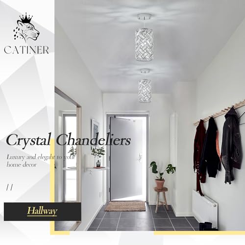 Chrome Crystal Pendant Light