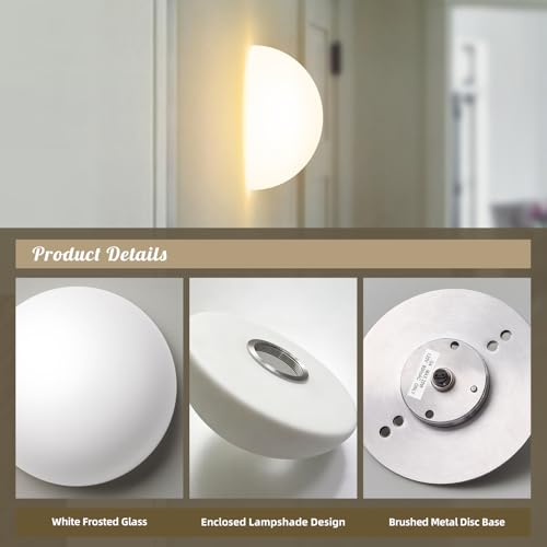 Modern Globe Glass Wall Sconces Set of 2 (2 Count)