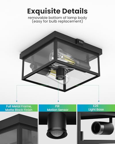 Outdoor Ceiling Light with Motion Sensor 12'' (2 Count)