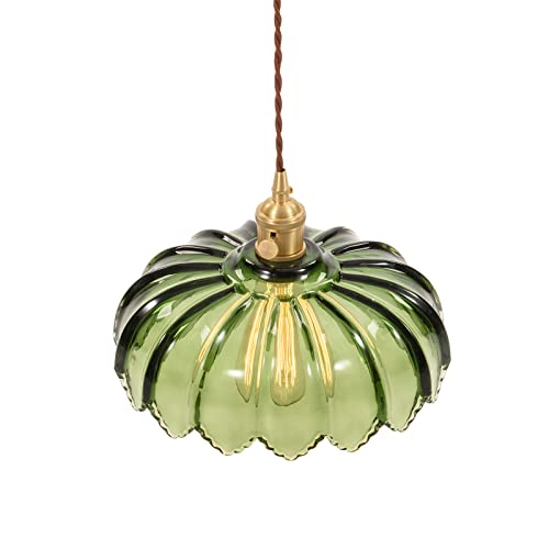 Plug in Pendant Light Fixtures