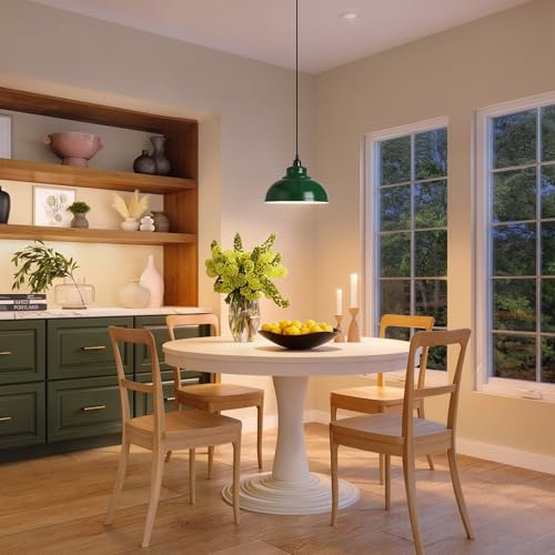 Plug in Pendant Light