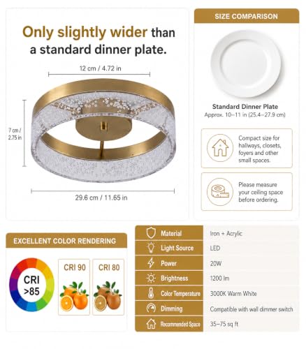 Modern LED Ceiling Light Fixture