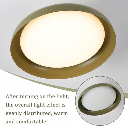 Modern LED Ceiling Light