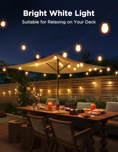 S14 Bulb Outdoor String Lights 2 (144 Foot)