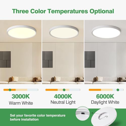 20 Inch Large LED Flush Mount Ceiling Light (2 Count)