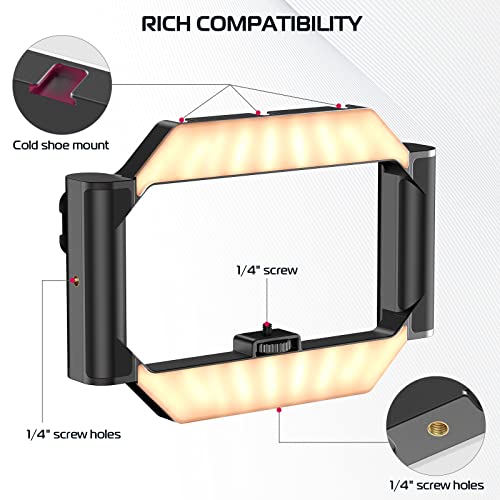 Smartphone Video Rig with Light