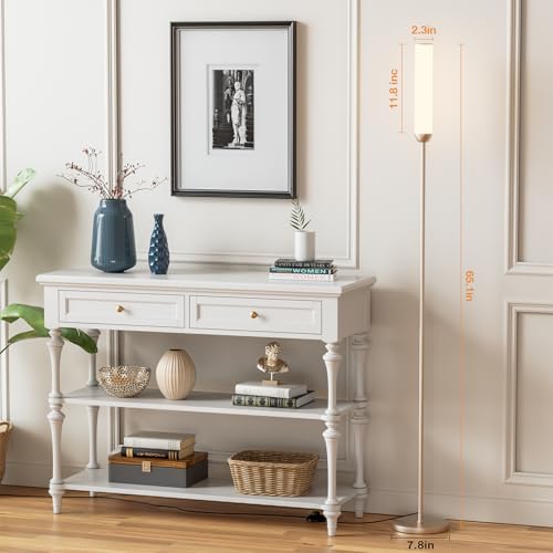 LED Floor Lamp with Remote Control