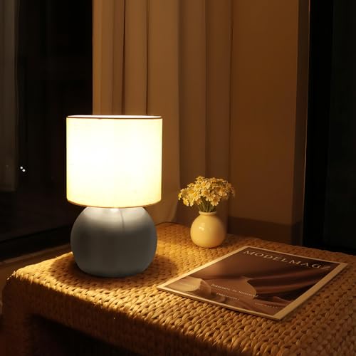 Modern Small Table Lamp Set of 2 (2 Count)