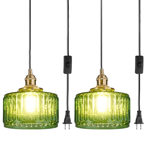 Vintage Plug in Pendant Light Fixture
