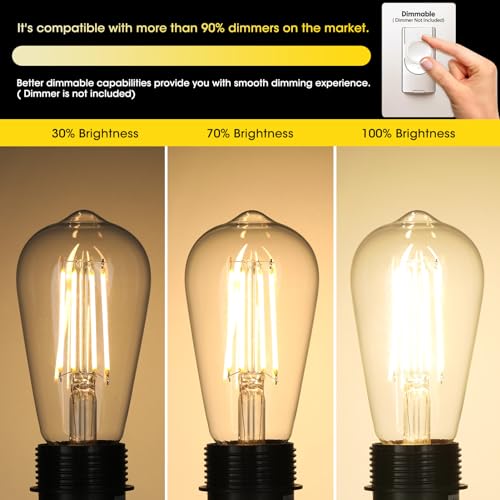 Vintage LED Edison Bulbs 6W (6 Count)