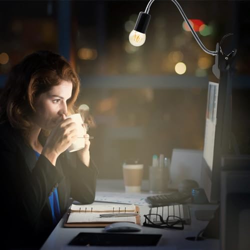Clip Desk Lamp Socket 2 Pack Flexible Gooseneck Lamp Stand Clip (2 Count)