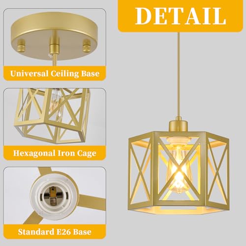 2 Pack Gold Pendant Lights (2 Count)