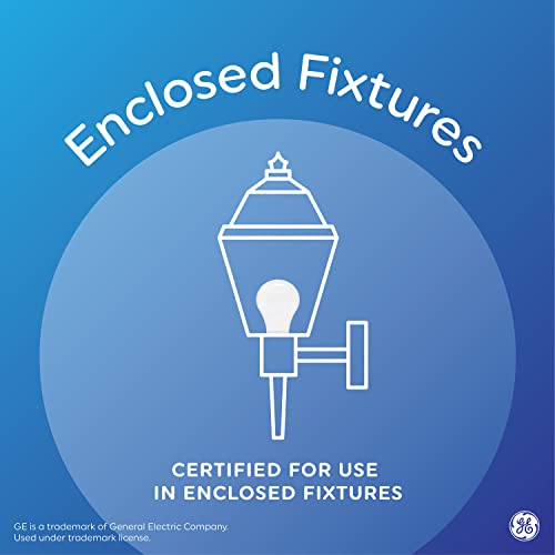 Vintage Style LED Light Bulbs (8 Count)