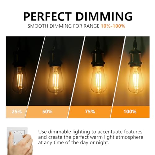 12Pack ST58 19 Vintage LED Edison Bulbs (12 Count)