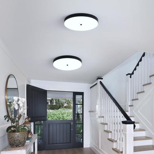 2 Pack Black Flush Mount Ceiling Light (2 Pack)