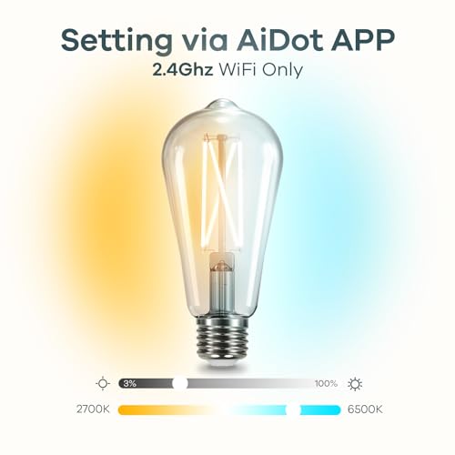 Smart Edison Light Bulb (2 Count)