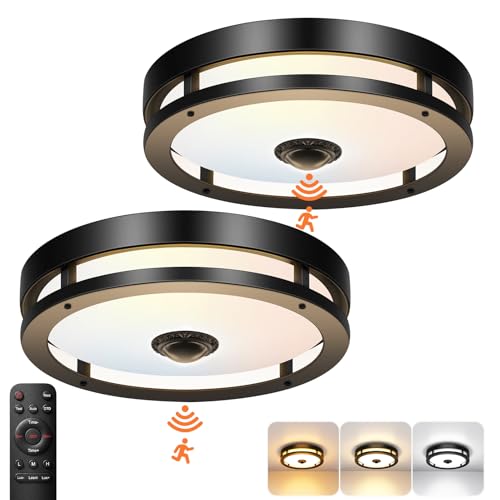 Outdoor Motion Sensor Ceiling Light with Remote